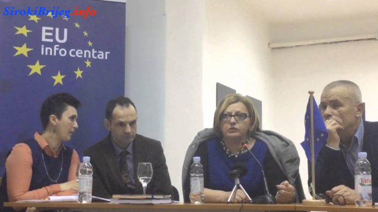 Jadranka Mihić “djeca i obrazovanje” BiH i EU